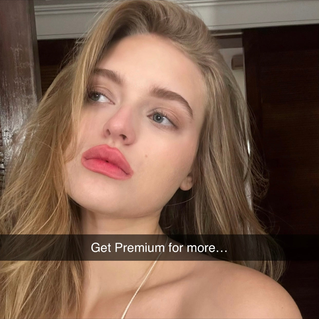 Premium Snap 500 pictures (Final Sale)