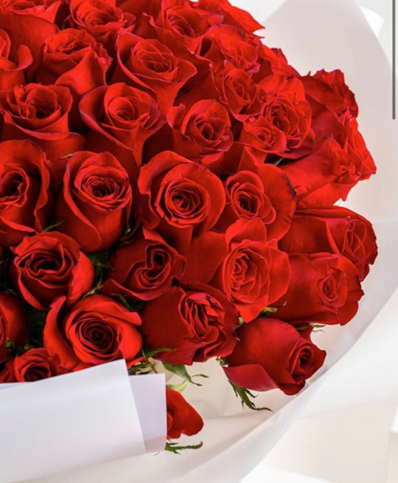 Red Roses (Select Amount)